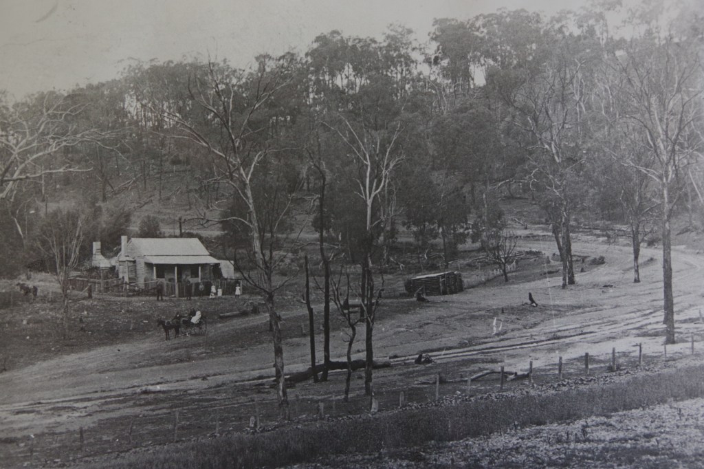 Vintage, black & white photo of a small cottage beside a gravel road that comes around in a big sweeping bend. Some adults and children stand in front of the house; on part of the road is a horse-drawn cart with 2? passengers. There is a horse in the paddock beside the house.